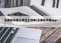 云南区块链公司怎么样啊[云南区块链app]